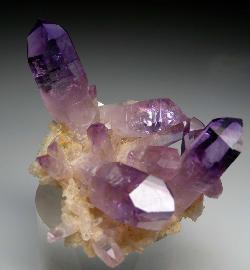 Amethyst from Las Vigas, Vera Cruz, Mexico [db_pics/pics/p615e.jpg]