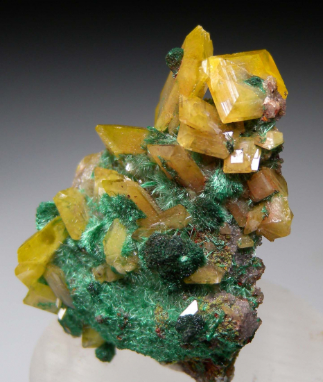 Wulfenite with Malachite from Tsumeb, Namibia [db_pics/pics/p627b.jpg]