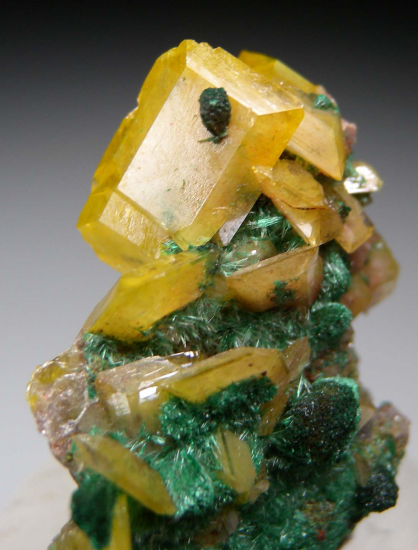 Wulfenite with Malachite from Tsumeb, Namibia [db_pics/pics/p627c.jpg]