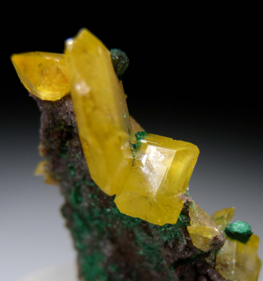 Wulfenite with Malachite from Tsumeb, Namibia [db_pics/pics/p627d.jpg]