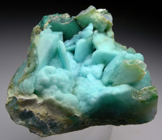 Chrysocolla ps. Malachite ps. Azurite from Inspiration Mine, Miami, Pinal Co., Arizona, USA [db_pics/pics/p630a.jpg]