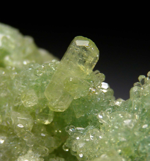 Vesuvianite from Jeffrey Mine, Val-des-Sources, Quebec, Canada [db_pics/pics/p640c.jpg]