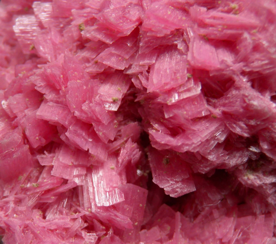 Rhodonite from San Martin Mine, Chiuruco, Ancash Dept., Peru [db_pics/pics/p676c.jpg]