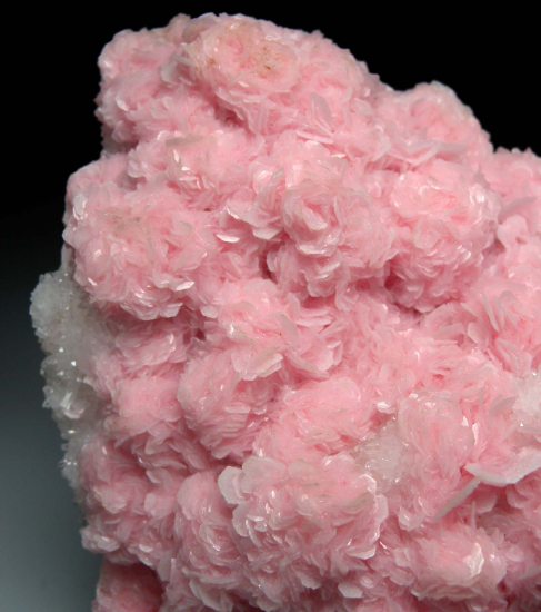 Rhodochrosite from Boldut Mine, Cavnic, Romania [db_pics/pics/p684d.jpg]