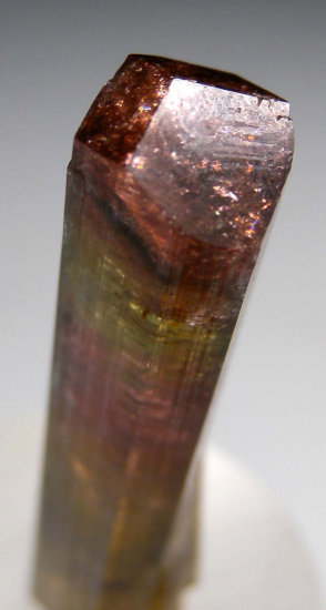 Tourmaline from Pamir Mtns., Tajikistan [db_pics/pics/p722c.jpg]
