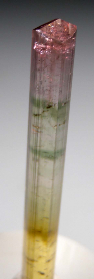 Tourmaline from Pamir Mtns., Tajikistan [db_pics/pics/p724b.jpg]