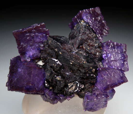 Fluorite with Sphalerite from Elmwood Mine, Carthage, Tennessee, USA [db_pics/pics/p734a.jpg]