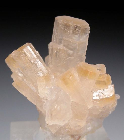 Strontianite from Oberdorf, Laming valley, Styria, Austria [db_pics/pics/p750a.jpg]