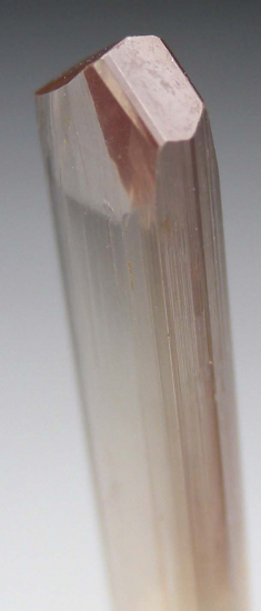 Diaspore from Pinarcik, Mugla Prov., Turkey [db_pics/pics/p807d.jpg]