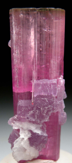 Tourmaline with Lepidolite from Himalaya Mine, Mesa Grande, San Diego Co., California, USA [db_pics/pics/p824b.jpg]