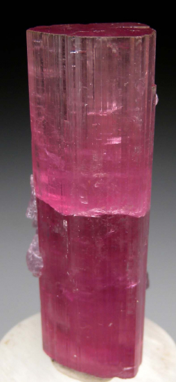 Tourmaline with Lepidolite from Himalaya Mine, Mesa Grande, San Diego Co., California, USA [db_pics/pics/p824d.jpg]