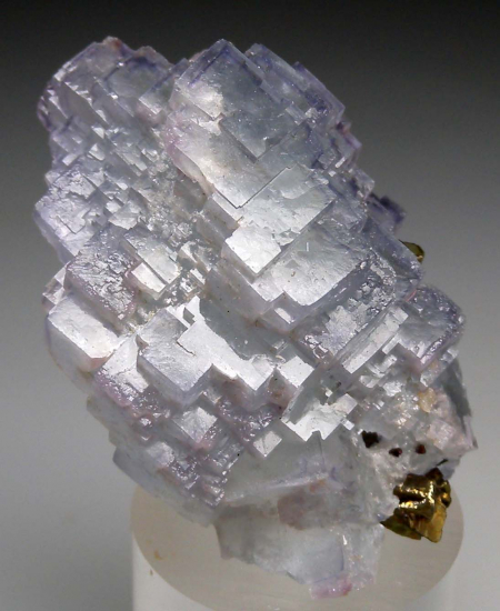 Chalcopyrite on Fluorite from Yaogangxian Mine, Hunan, China [db_pics/pics/p827c.jpg]