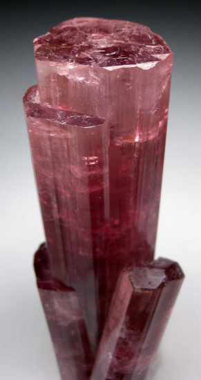 Tourmaline from Rubaya, North Kivu, Dem. Rep. of Congo [db_pics/pics/p834c.jpg]