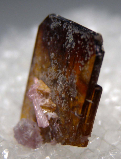 Stibiotantalite from Himalaya Mine, Mesa Grande, San Diego Co., California, USA [db_pics/pics/p890c.jpg]