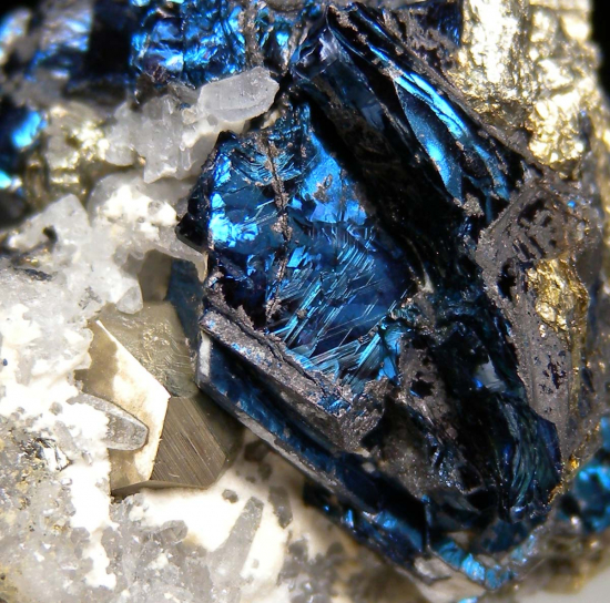 Covellite with Pyrite from Butte, Silver Bow Co., Montana, USA [db_pics/pics/p896c.jpg]