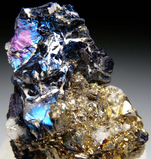 Covellite with Pyrite from Butte, Silver Bow Co., Montana, USA [db_pics/pics/p896d.jpg]