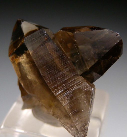 Smokey Quartz from Excelsior Mtns., Mineral Co., Nevada, USA [db_pics/pics/p898d.jpg]