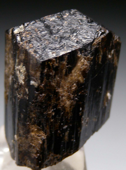 Dravite from Biermann Quarry, Bethel, Connecticut, USA [db_pics/pics/p929a.jpg]