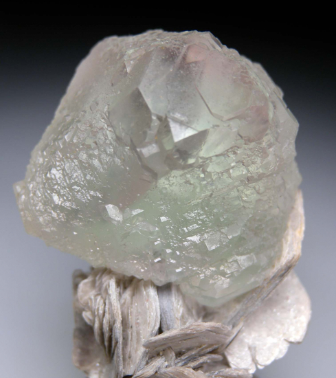 Fluorite on Muscovite from Nagar, Northern Areas, Pakistan [db_pics/pics/p933c.jpg]