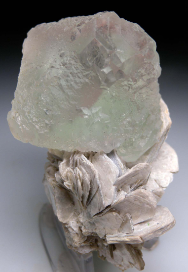 Fluorite on Muscovite from Nagar, Northern Areas, Pakistan [db_pics/pics/p933e.jpg]