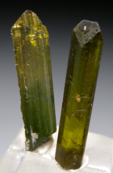 Tourmaline (3 crystals) from Gillette Quarry, Haddam Neck, Haddam, Middlesex County, Connecticut, USA [db_pics/pics/p936c.jpg]