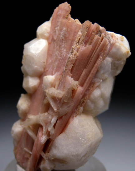 Serandite, Analcime, Natrolite, Rhodochrosite from Mont St. Hilaire, Quebec, Canada [db_pics/pics/p959d.jpg]