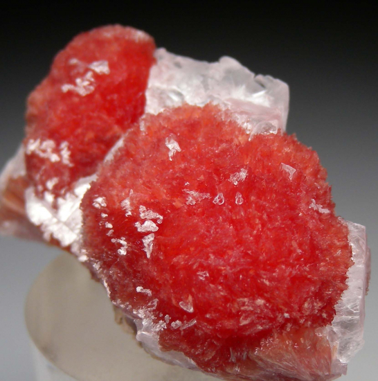 Inesite from N'Chwanning Mine, Kuruman, South Africa [db_pics/pics/p963c.jpg]
