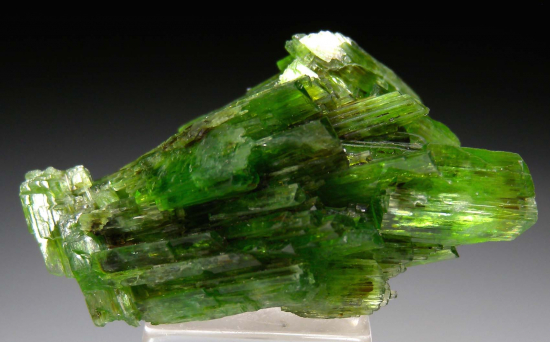 Tremolite from Merelani Hills, Arusha, Tanzania [db_pics/pics/p971a.jpg]