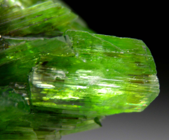 Tremolite from Merelani Hills, Arusha, Tanzania [db_pics/pics/p971c.jpg]