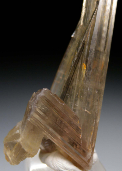 Diaspore from Pinarcik, Mugla Prov., Turkey [db_pics/pics/p972c.jpg]