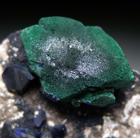 Azurite, Malachite after Azurite from Ajo, Pima Co., Arizona, USA [db_pics/pics/p977d.jpg]