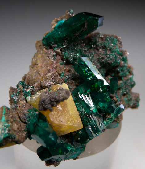 Dioptase with Wulfenite from Angola [db_pics/pics/p987b.jpg]
