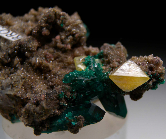 Dioptase with Wulfenite from Angola [db_pics/pics/p987d.jpg]