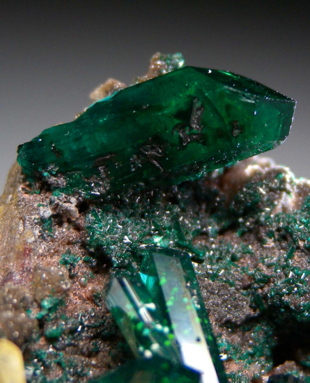 Dioptase with Wulfenite from Angola [db_pics/pics/p987e.jpg]