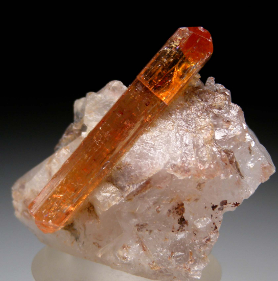 Topaz on Quartz (R) from Ouro Preto, Minas Gerais, Brazil [db_pics/pics/r114d.jpg]