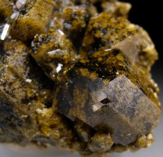 Grossular with Vesuvianite from Chihuahua, Mexico [db_pics/pics/r126d.jpg]