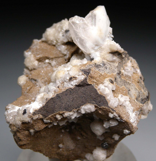 Whewellite, Ankerite from Kladno, Central Bohemia, Czech Republic [db_pics/pics/r140b.jpg]