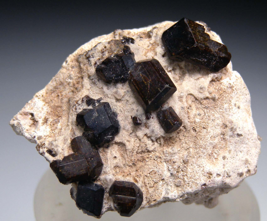 Buergerite from Mexquitic, San Luis Potosi, Mexico [db_pics/pics/r144a.jpg]