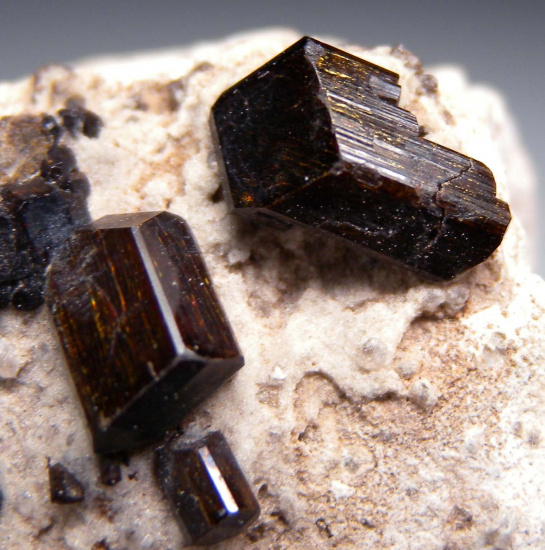 Buergerite from Mexquitic, San Luis Potosi, Mexico [db_pics/pics/r144c.jpg]