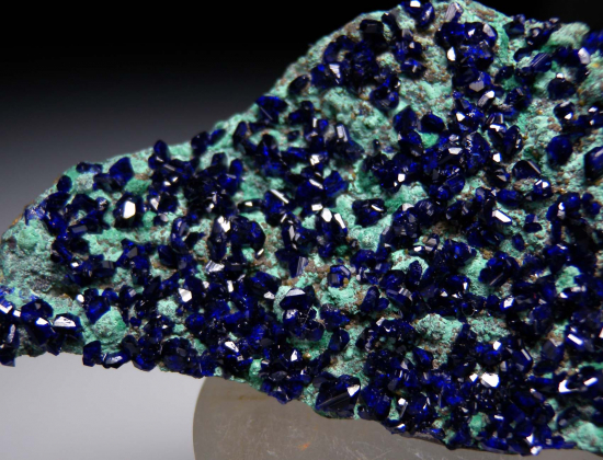 Azurite, Chlorargyrite on Malachite from Broken Hill, New South Wales, Australia [db_pics/pics/r150d.jpg]