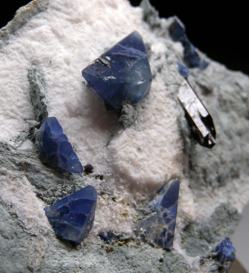 Benitoite, Neptunite, Joaquinite from Gem Mine, San Benito Co., California, USA [db_pics/pics/r169b.jpg]