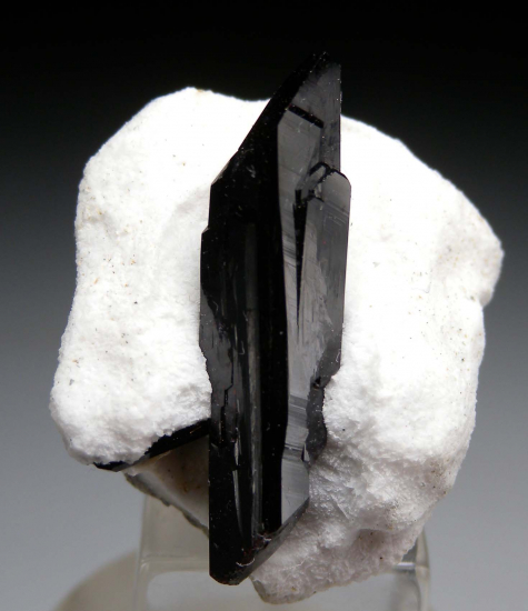 Neptunite (DT) from Gem Mine, San Benito Co., California, USA [db_pics/pics/r170c.jpg]