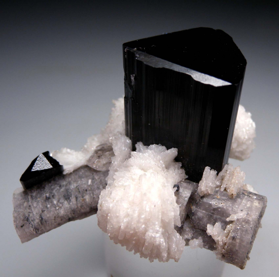 Tourmaline with Apatite from Nuristan, Afghanistan [db_pics/pics/r182a.jpg]