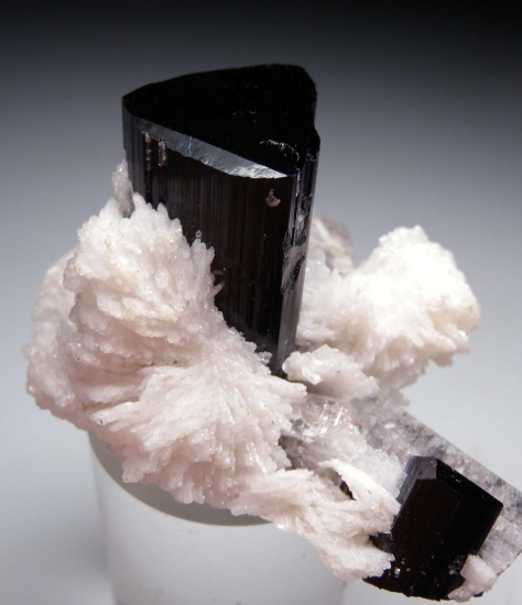 Tourmaline with Apatite from Nuristan, Afghanistan [db_pics/pics/r182c.jpg]