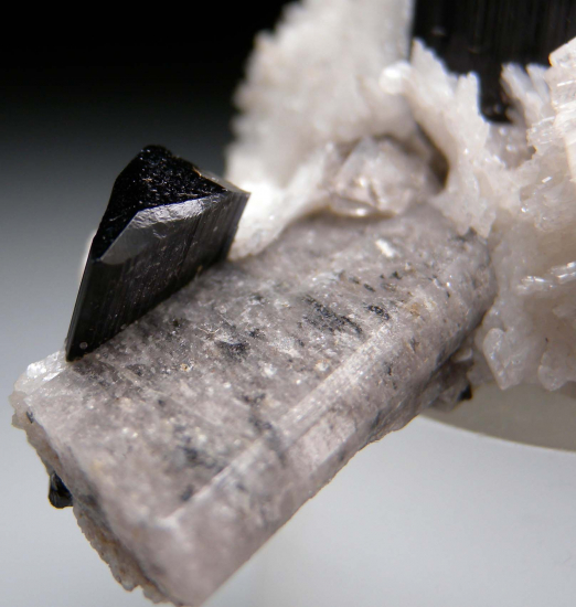 Tourmaline with Apatite from Nuristan, Afghanistan [db_pics/pics/r182d.jpg]