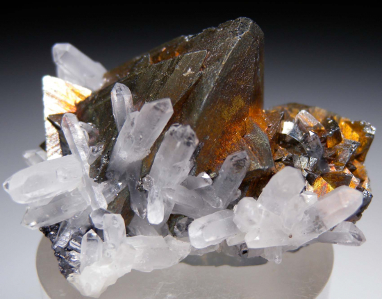 Tetrahedrite with Quartz from Casapalca Mine, Casapalca, Huarochiri Province, Lima, Peru [db_pics/pics/r189a.jpg]