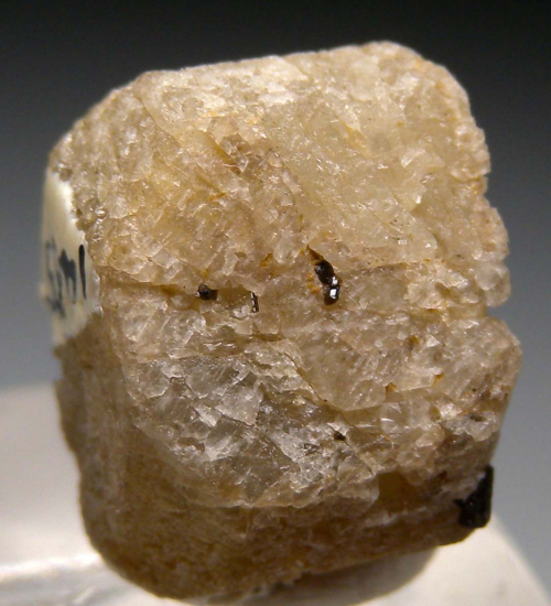 Anorthite from Yoichi District, Shiribeshi Subprefecture, Hokkaido Prefecture, Japan [db_pics/pics/r203a.jpg]