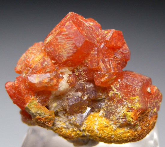 Coquimbite with Halotrichite and Copiapite from Dexter No. 7 Mine, San Rafael Swell, Utah, USA [db_pics/pics/r209a.jpg]
