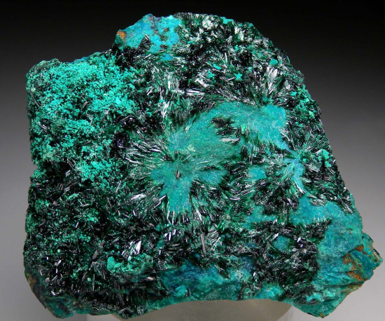 Atacamite on Chrysocolla from La Farola Mine, Copiapo, Atacama Region, Chile [db_pics/pics/r251a.jpg]