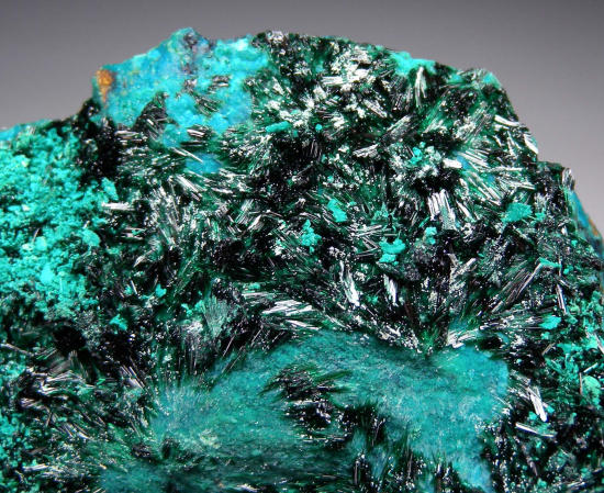 Atacamite on Chrysocolla from La Farola Mine, Copiapo, Atacama Region, Chile [db_pics/pics/r251b.jpg]